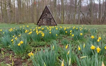 2023-03-22 16_16_03-Frühlingserwachen ÖSW (Schreibgeschützt) - Microsoft Word